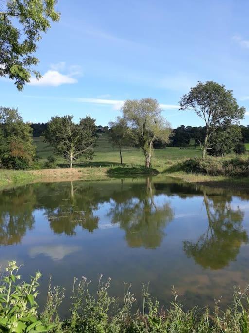 La Maisonnette Saint-Pierre-en-Auge Luaran gambar